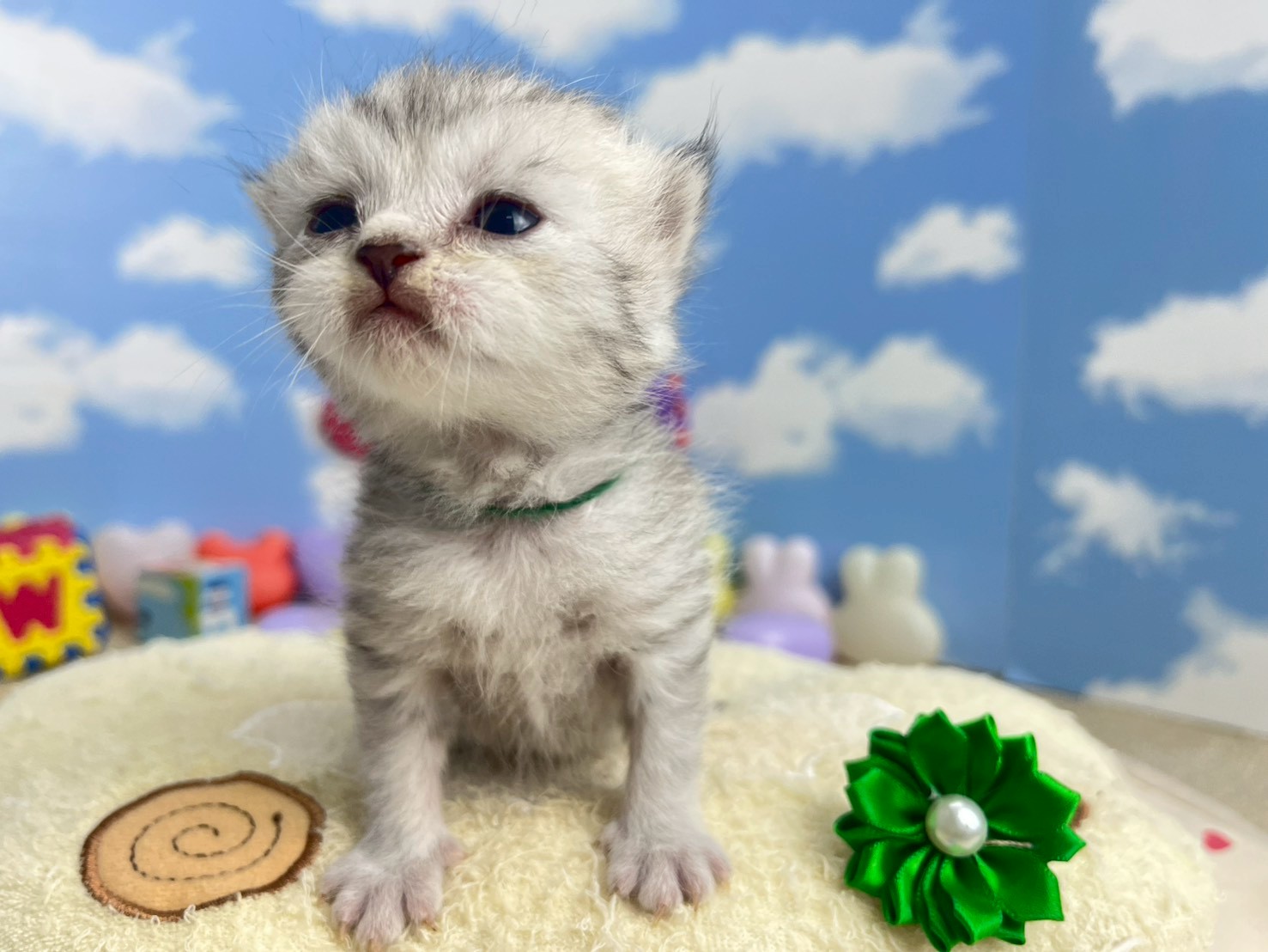 赤ちゃん写真1-1