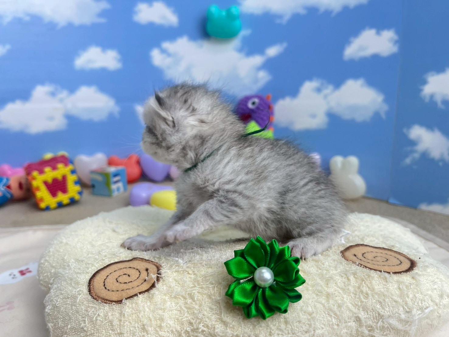 赤ちゃん写真1-2