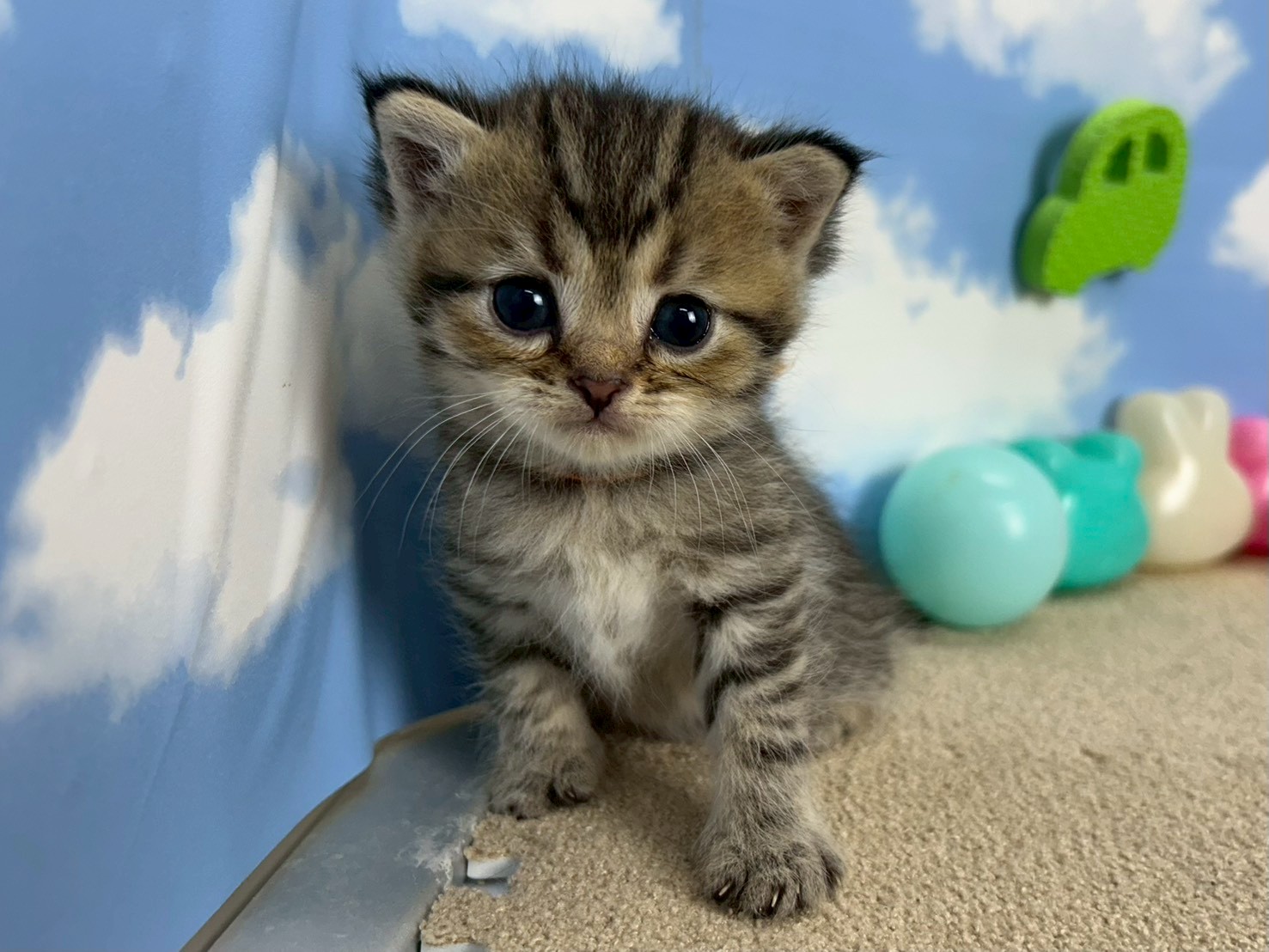 赤ちゃん写真2-1