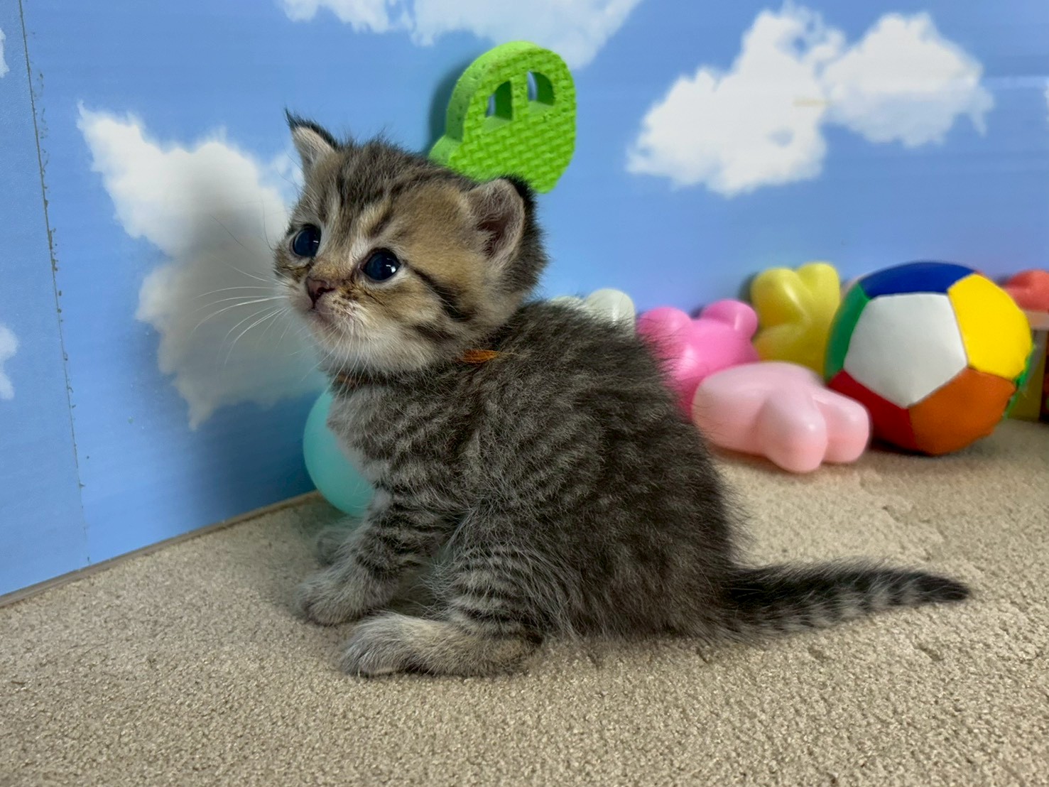 赤ちゃん写真2-2