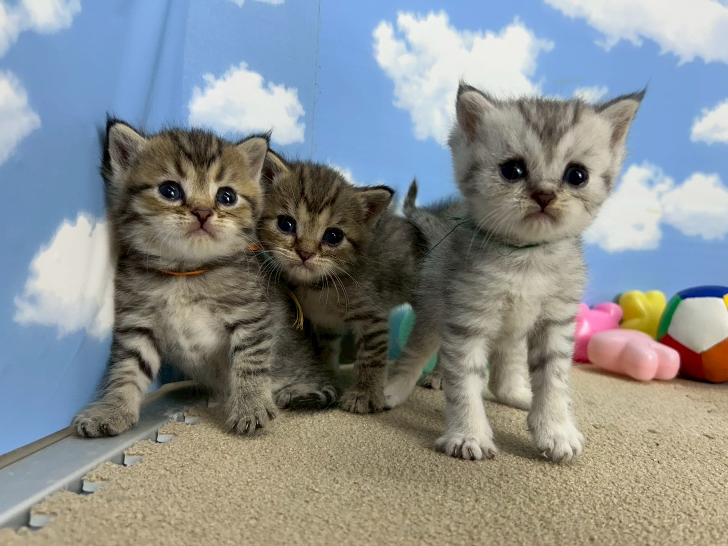 赤ちゃん写真2-3