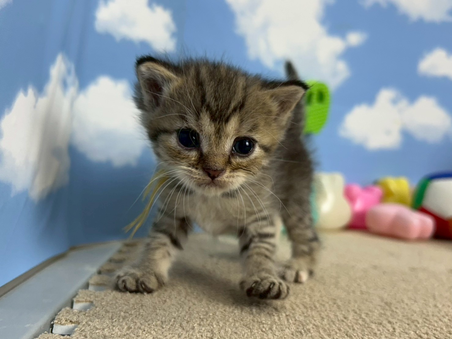 赤ちゃん写真2-1