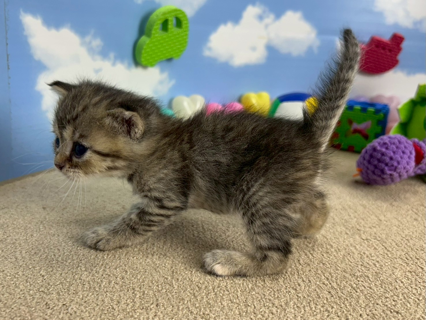 赤ちゃん写真2-2