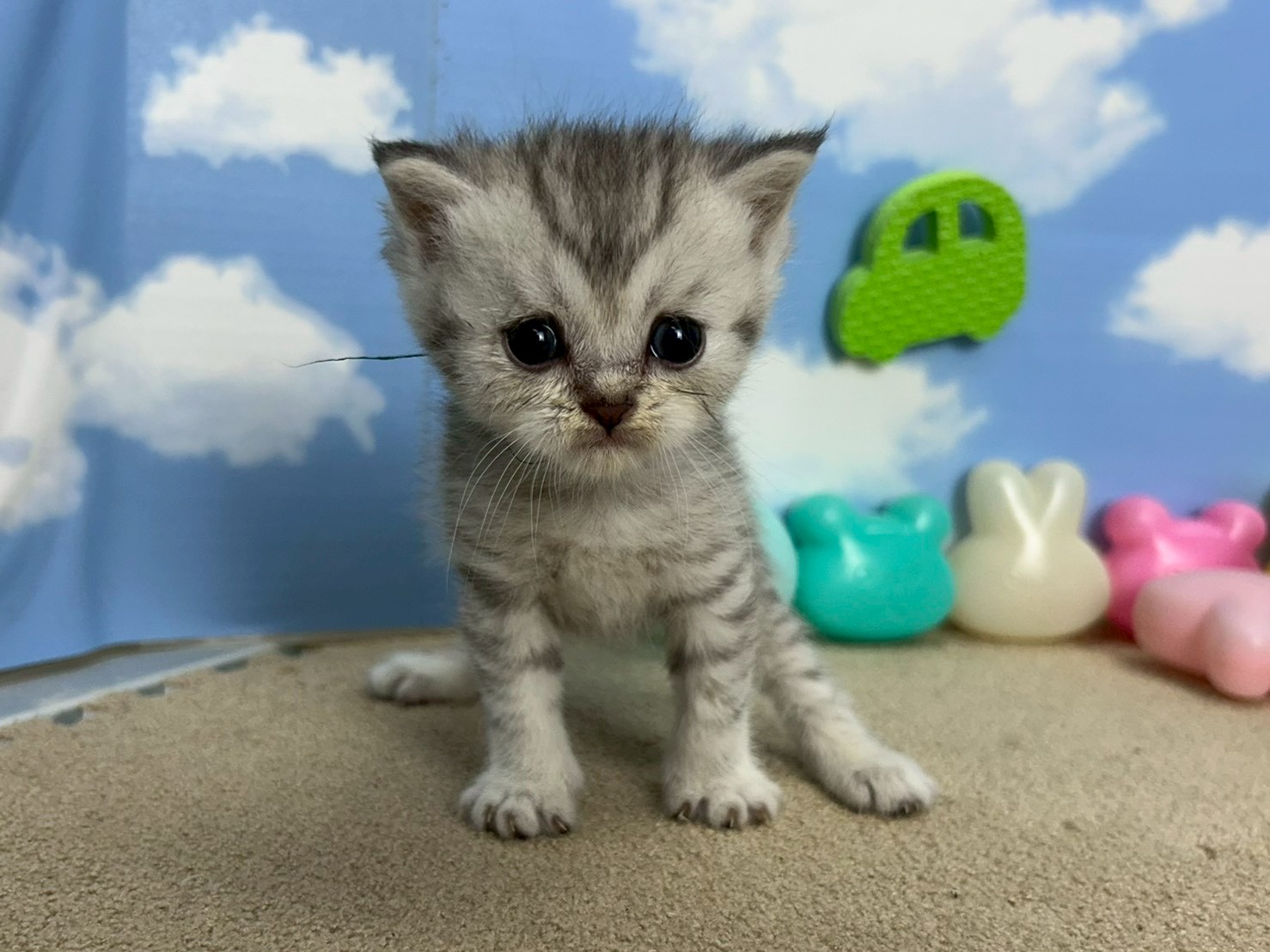 赤ちゃん写真2-1