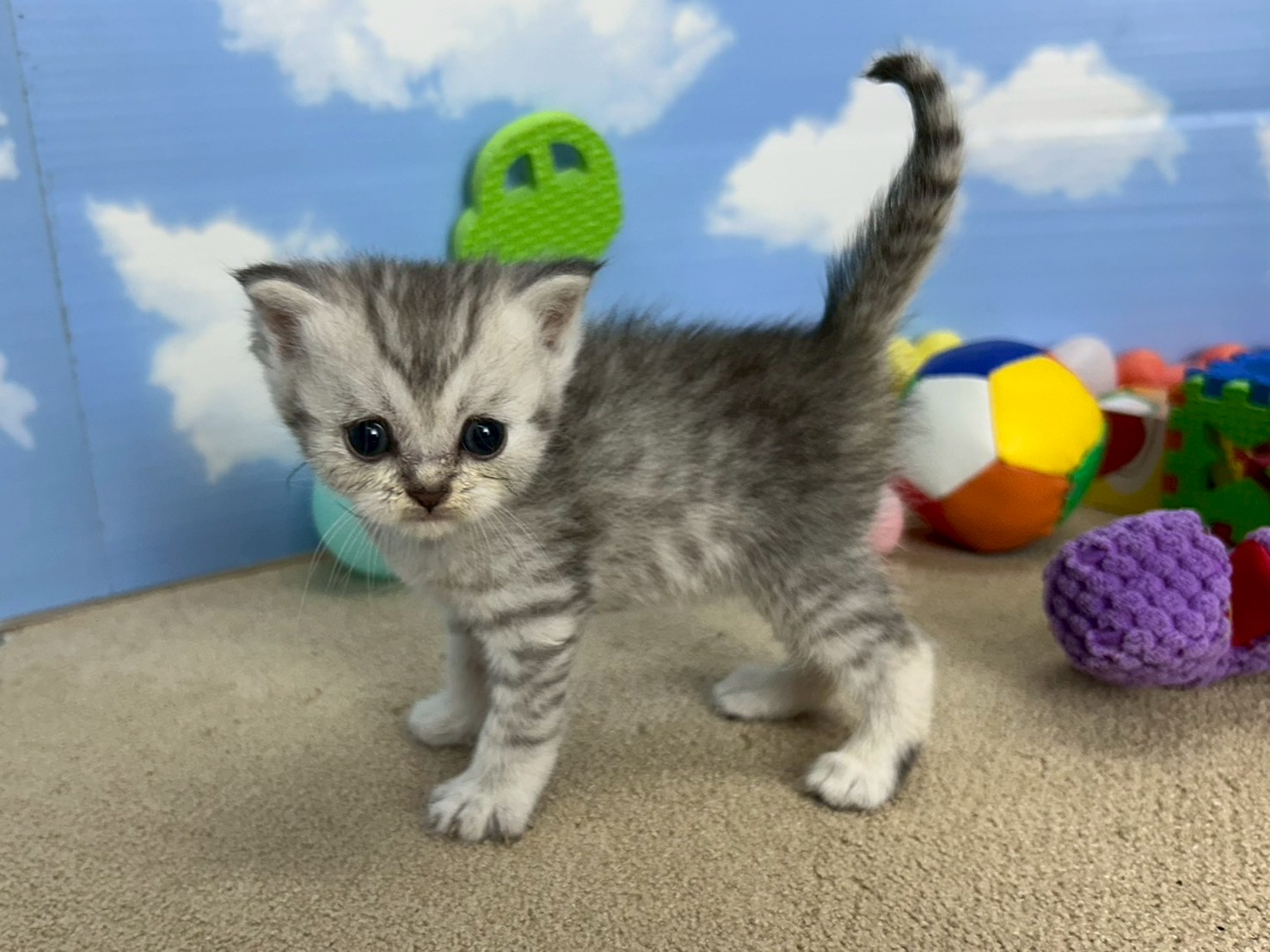 赤ちゃん写真2-2