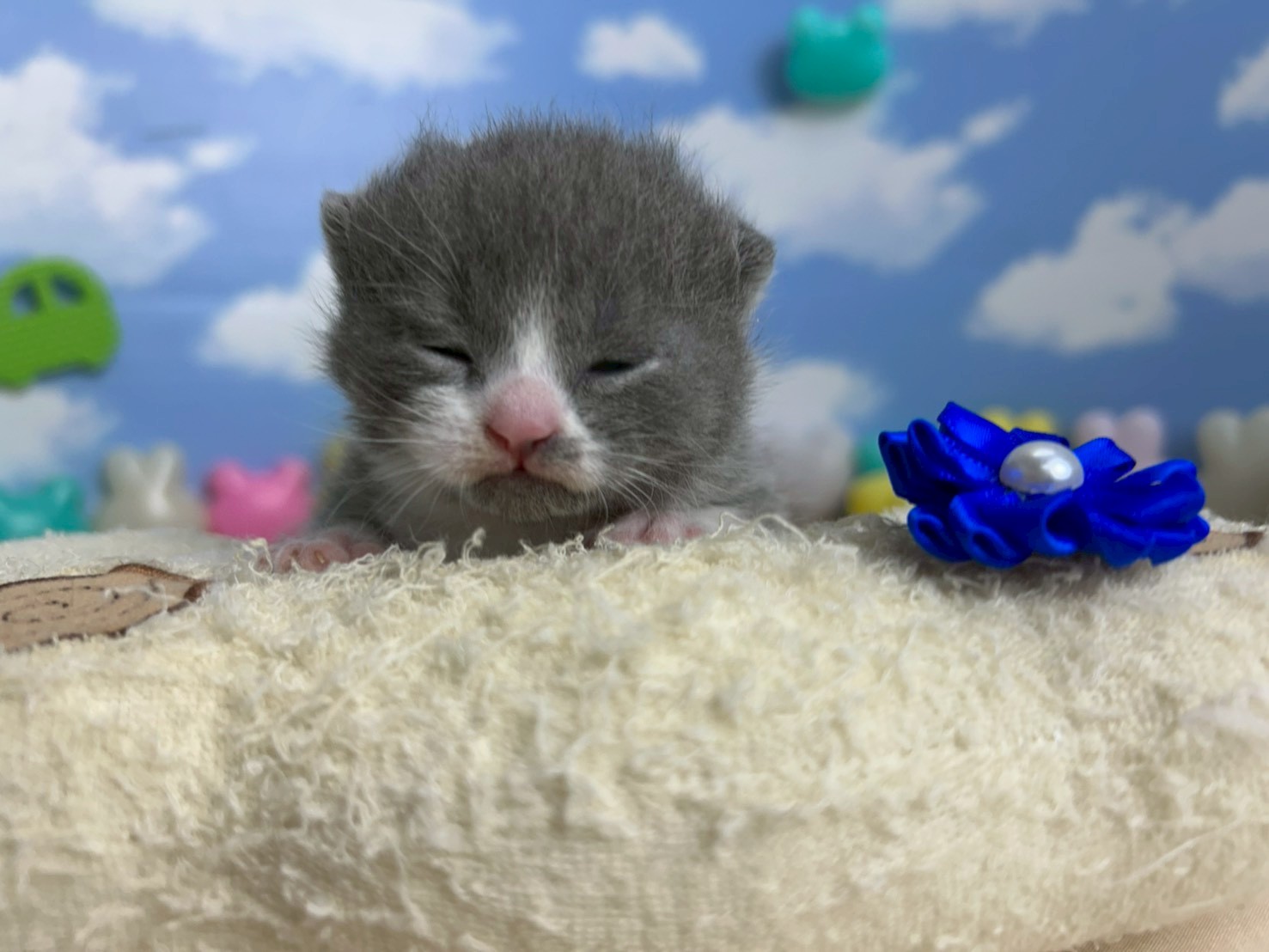 赤ちゃん写真1-1