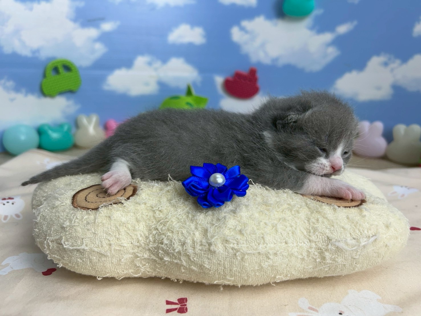 赤ちゃん写真1-2