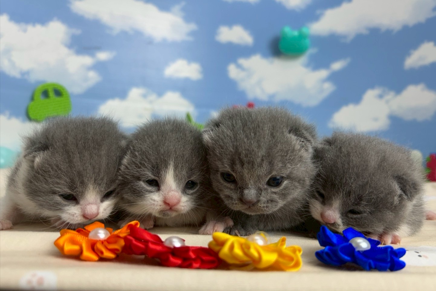 赤ちゃん写真1-3