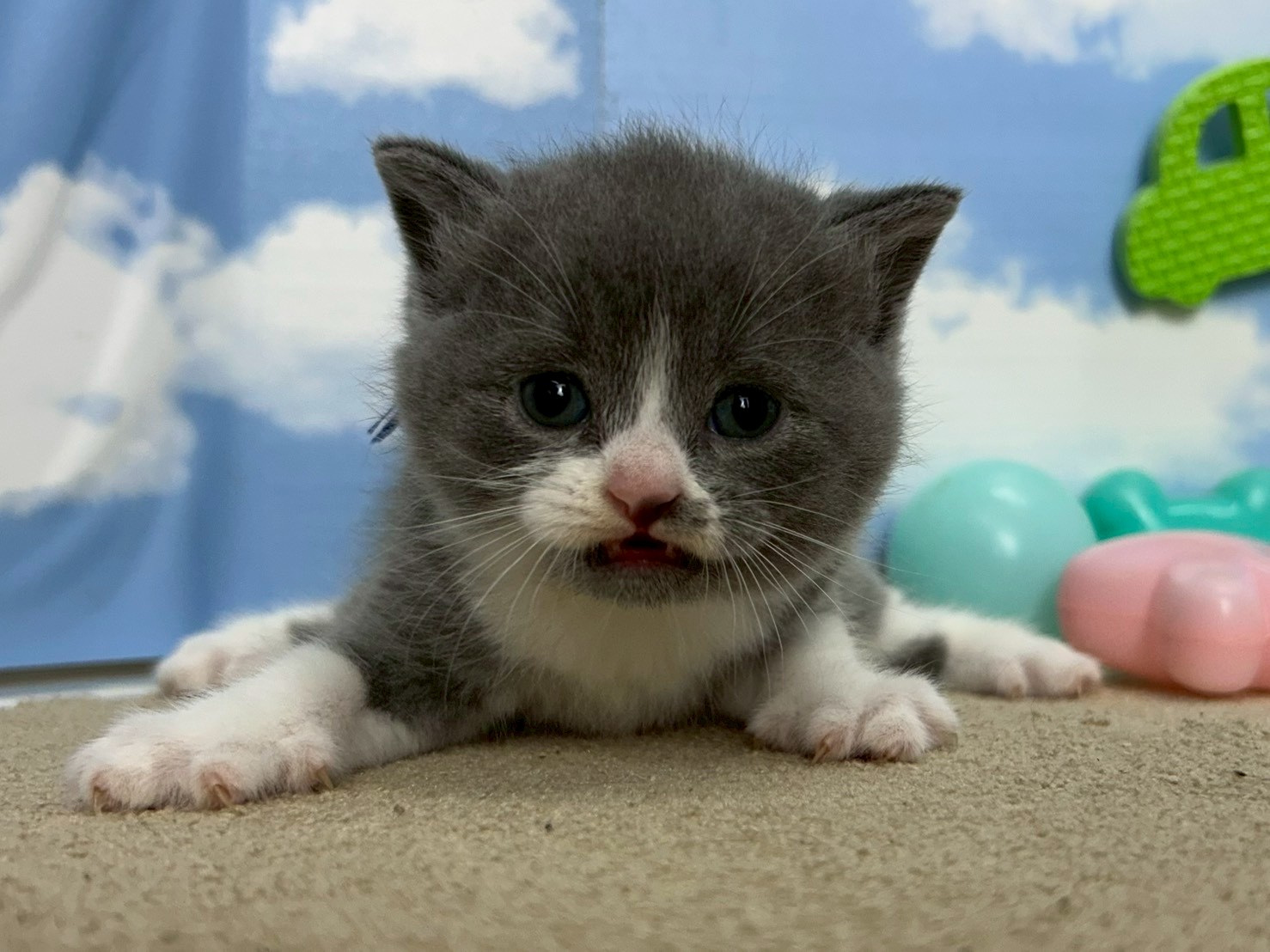 赤ちゃん写真2-1