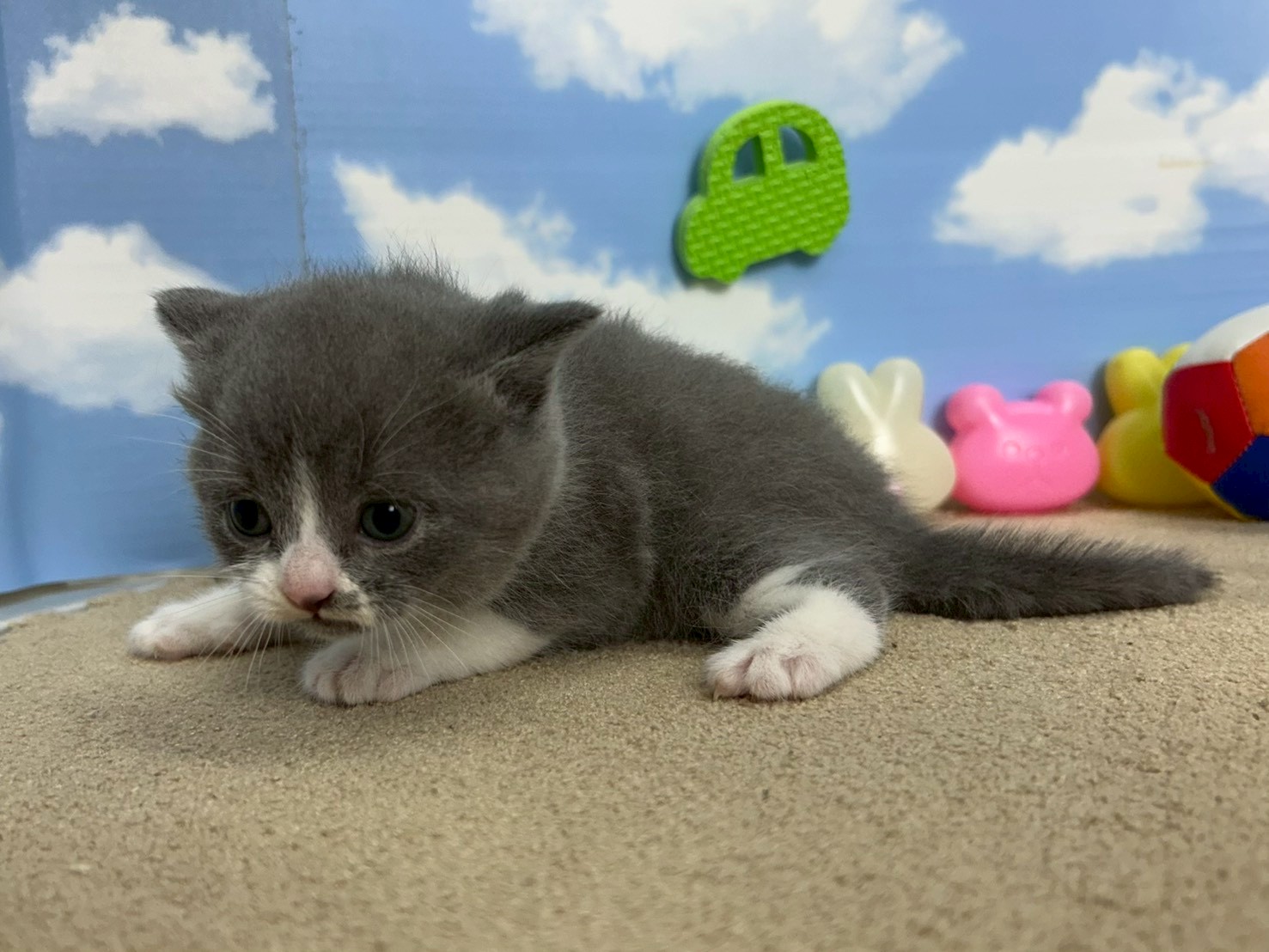 赤ちゃん写真2-2