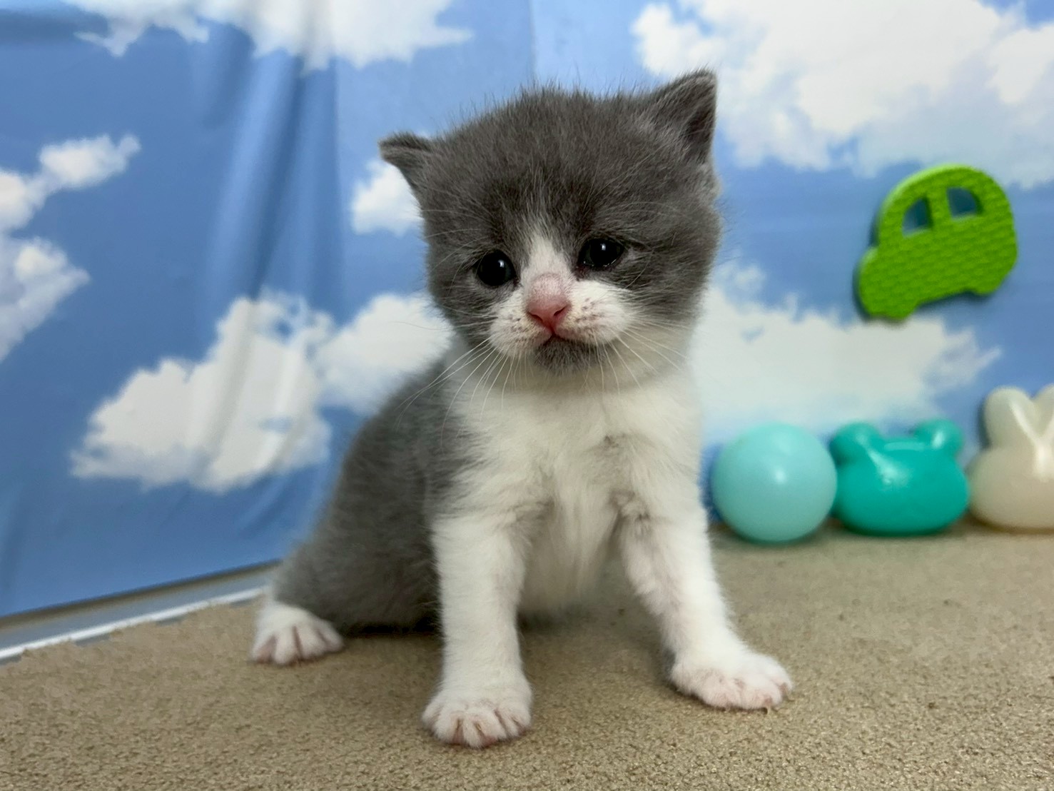 赤ちゃん写真2-1