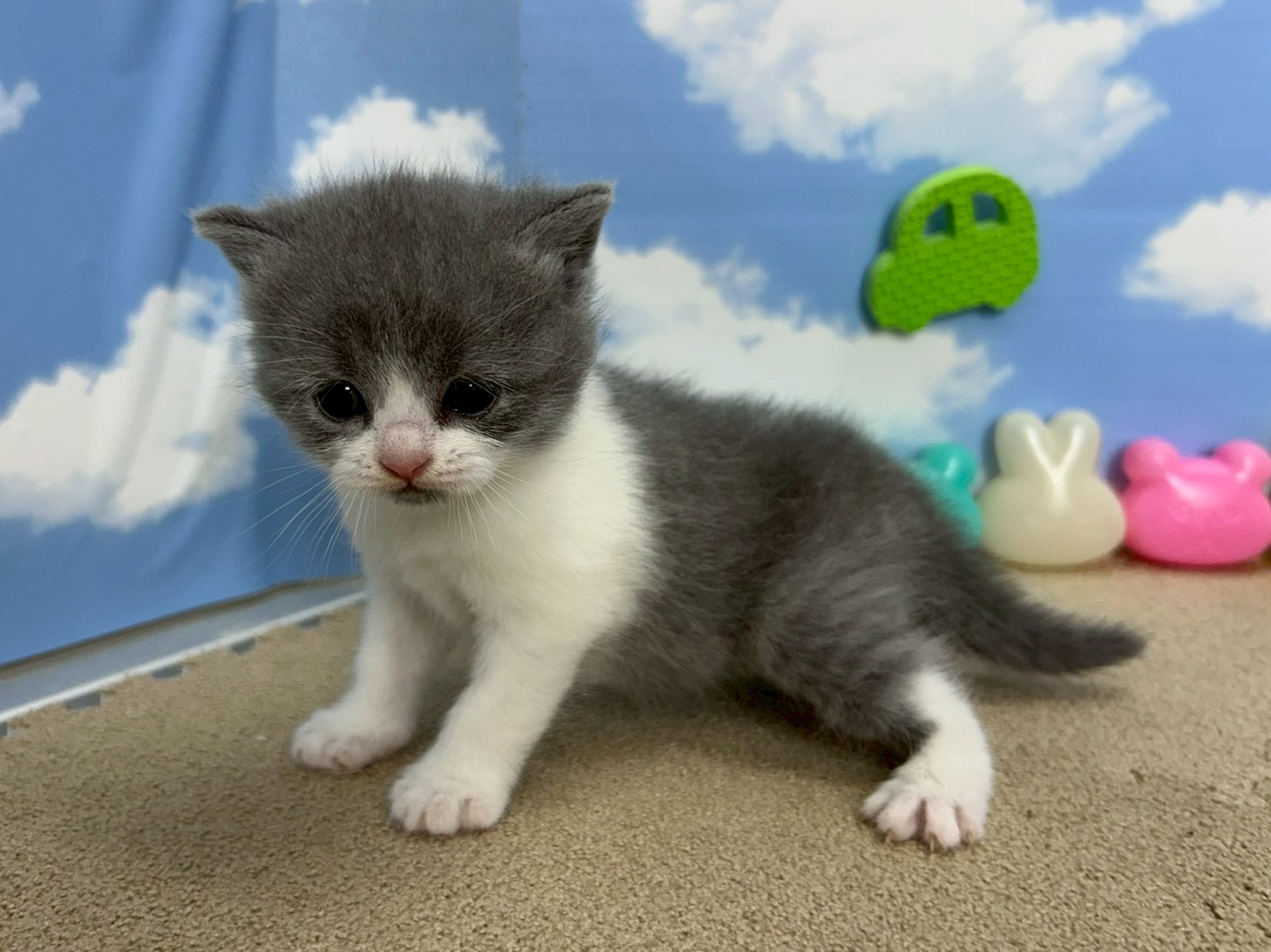 赤ちゃん写真2-2