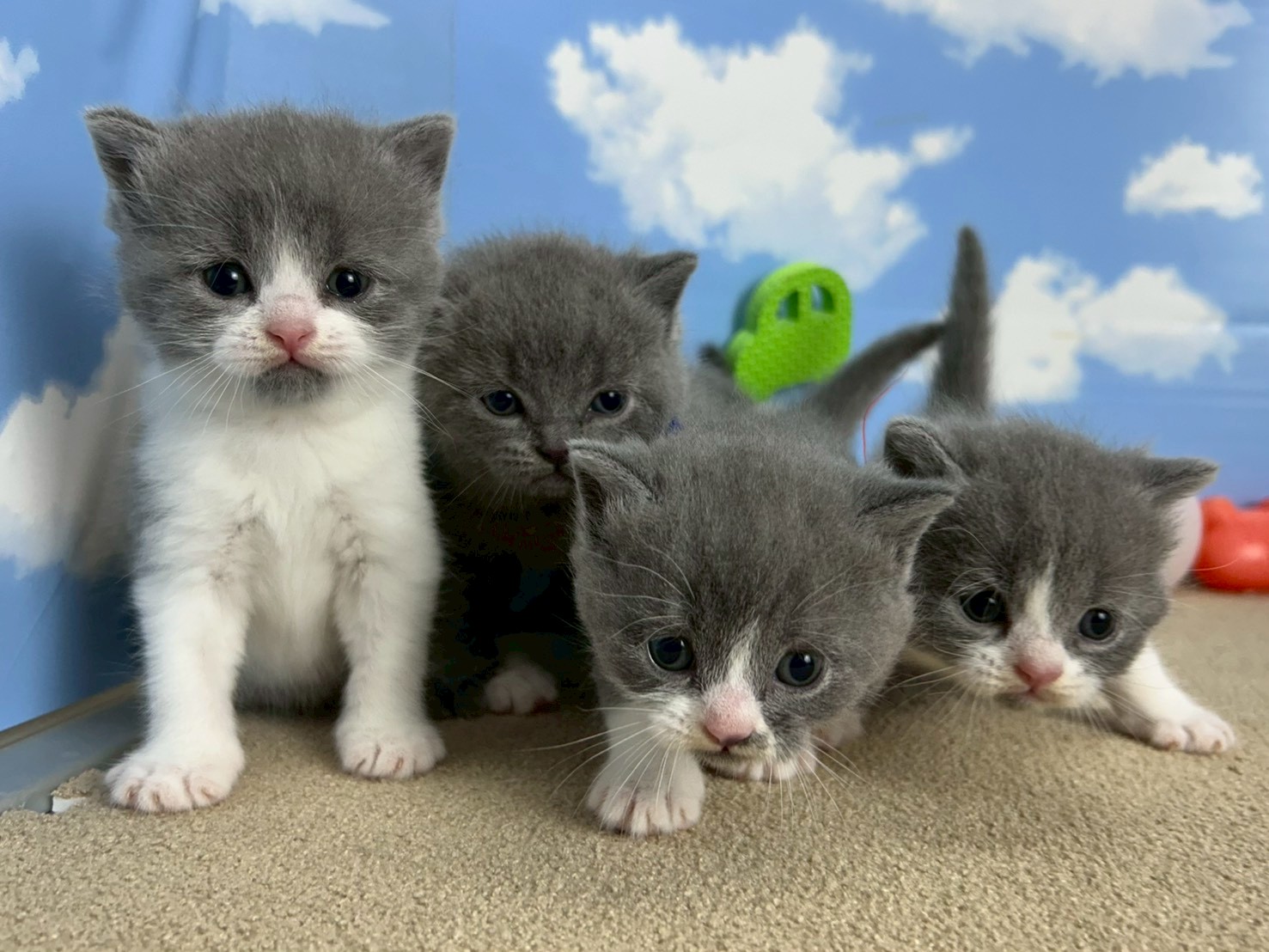 赤ちゃん写真2-3