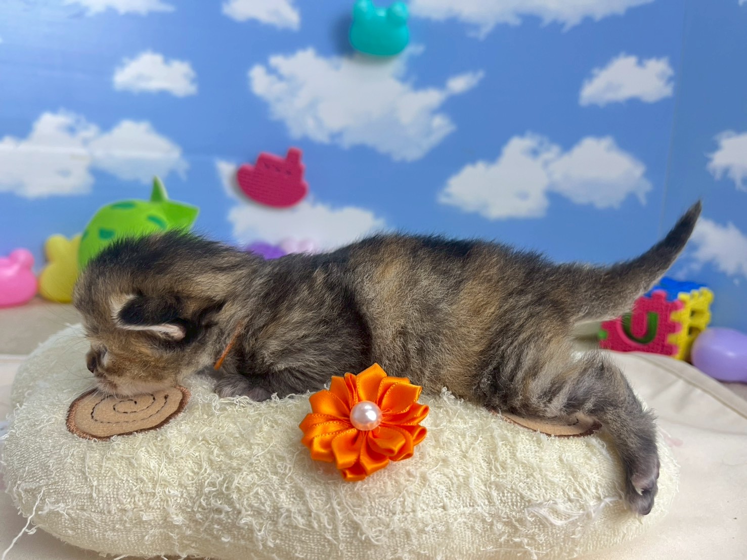 赤ちゃん写真1-2