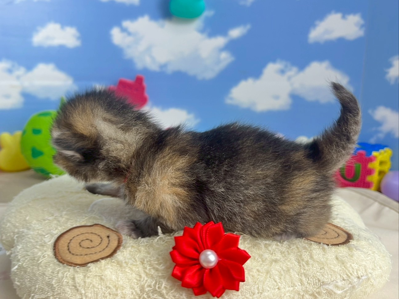 赤ちゃん写真1-2