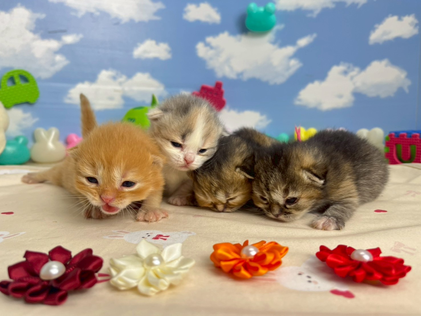 赤ちゃん写真1-3