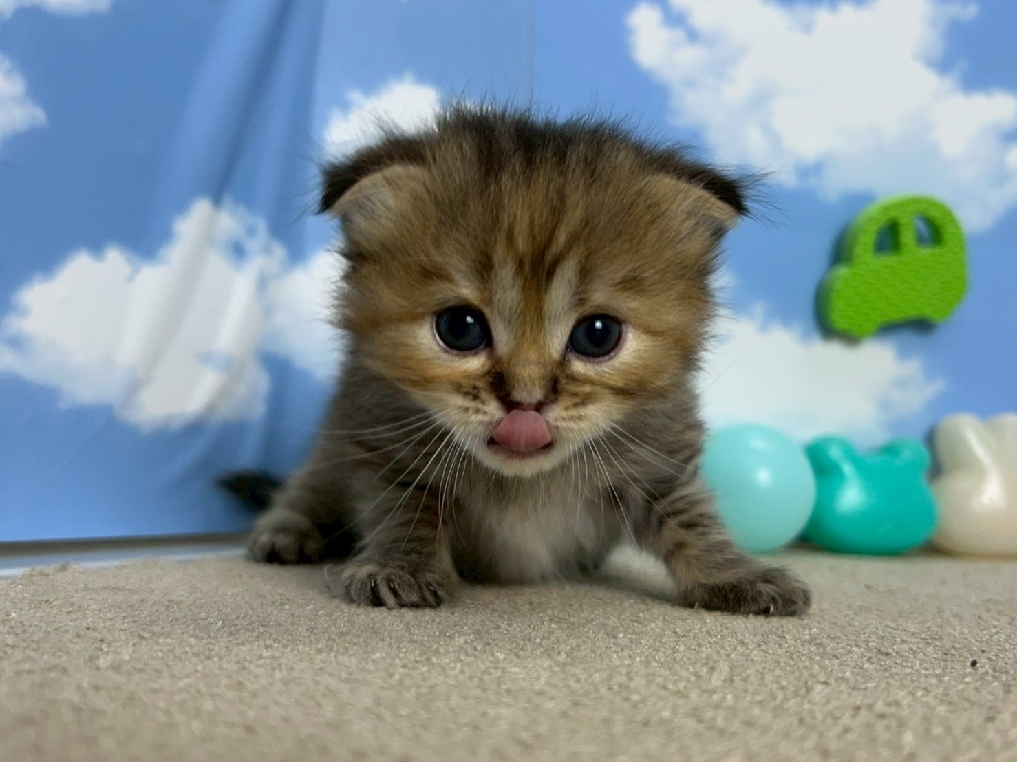 赤ちゃん写真2-1