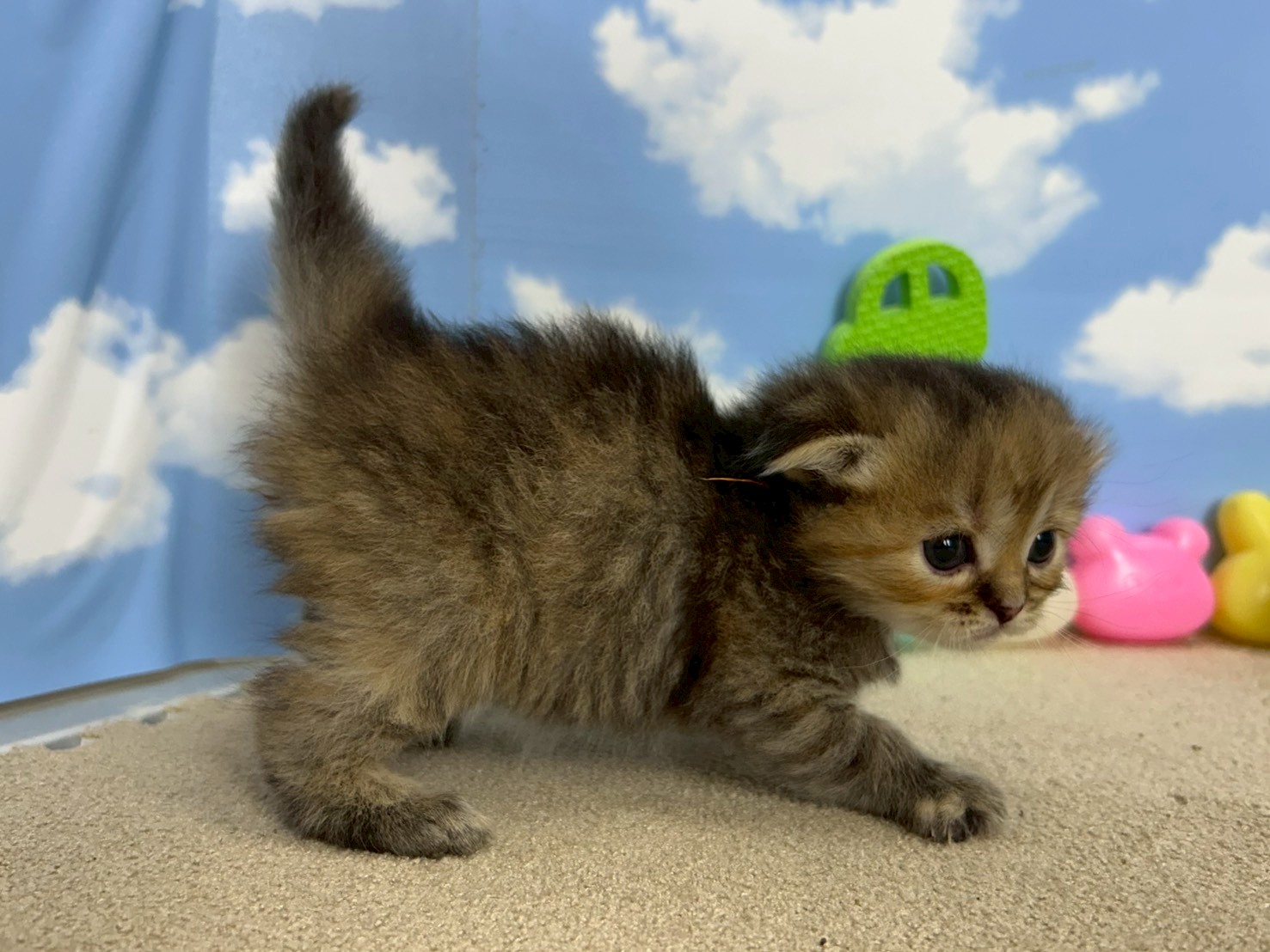 赤ちゃん写真2-2