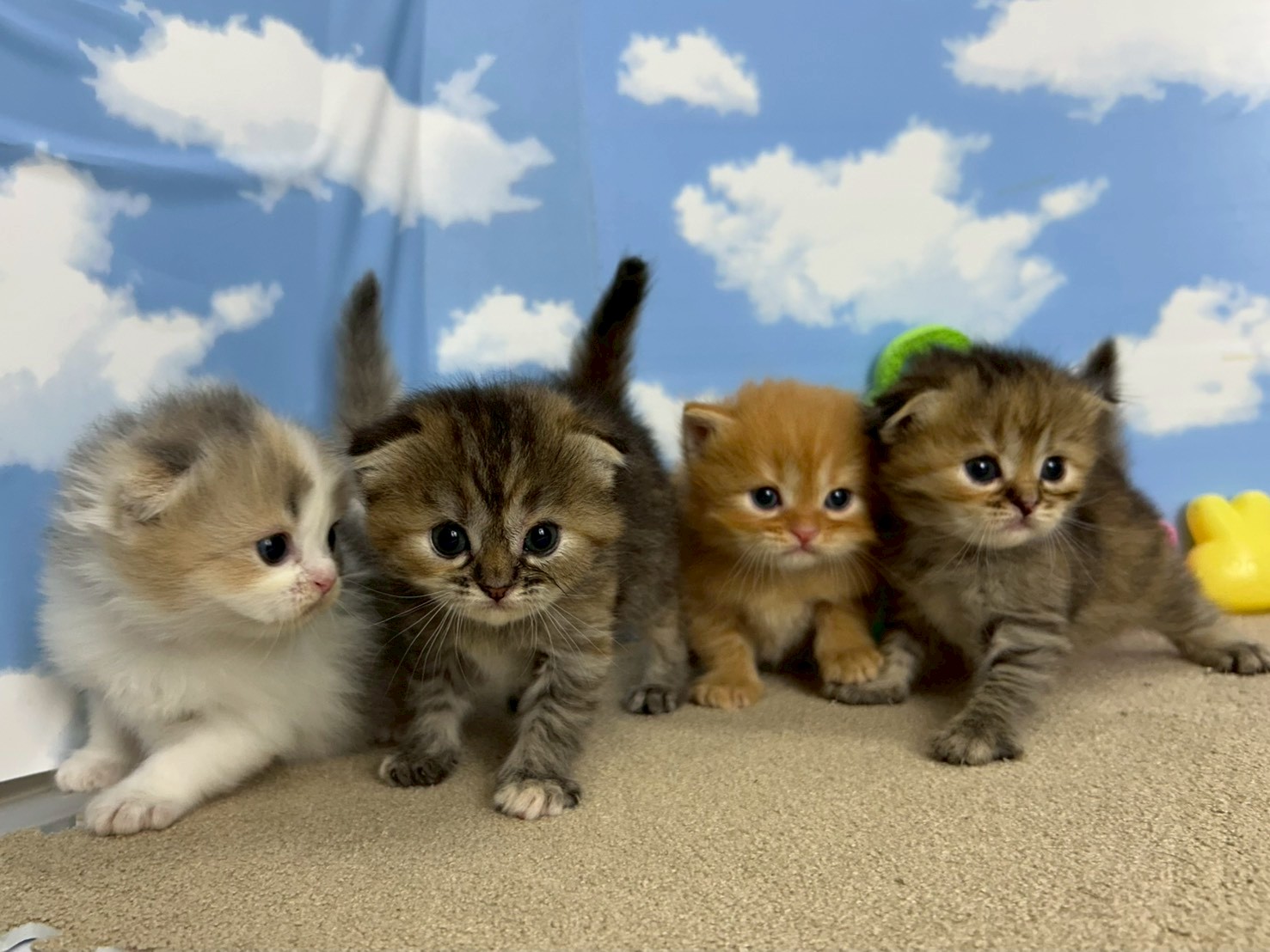 赤ちゃん写真2-3