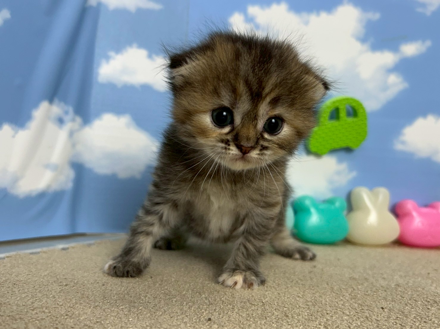 赤ちゃん写真2-1