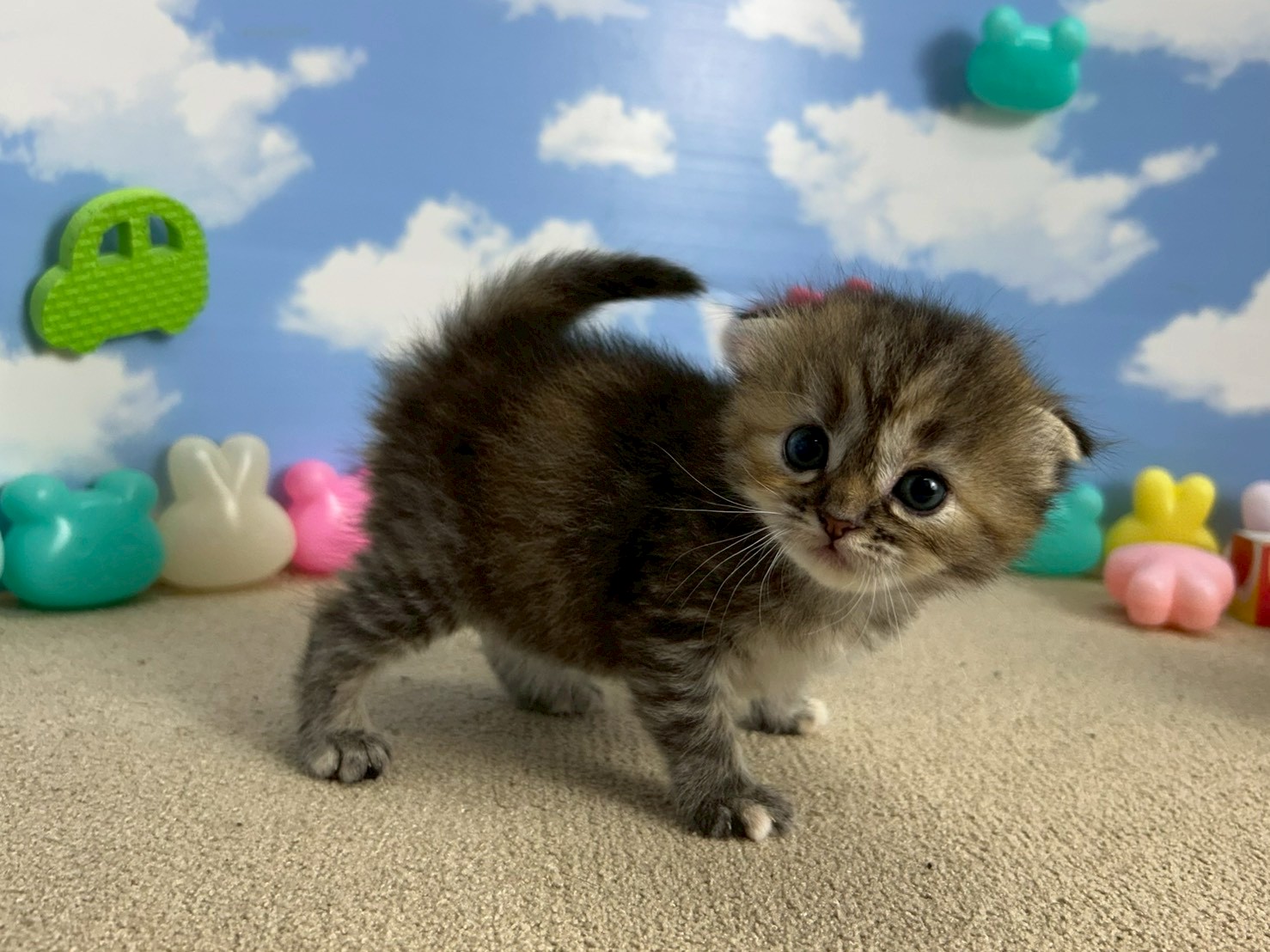 赤ちゃん写真2-2