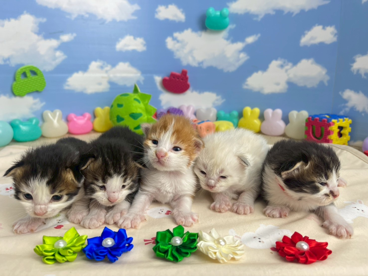 赤ちゃん写真1-3