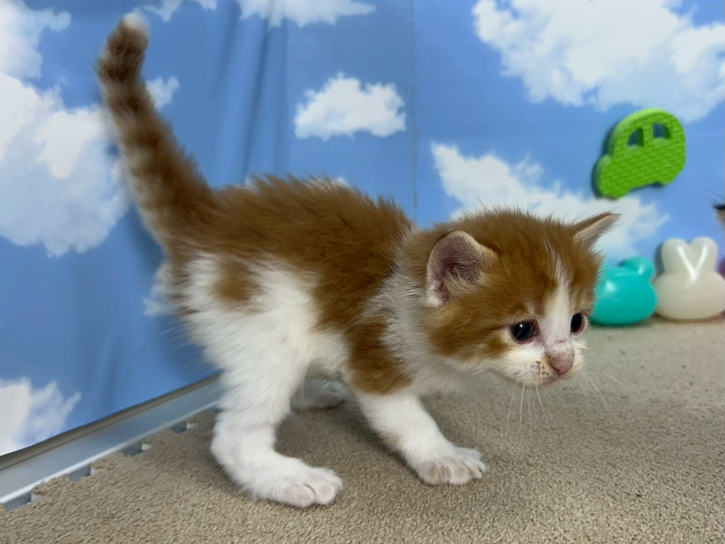 赤ちゃん写真2-2