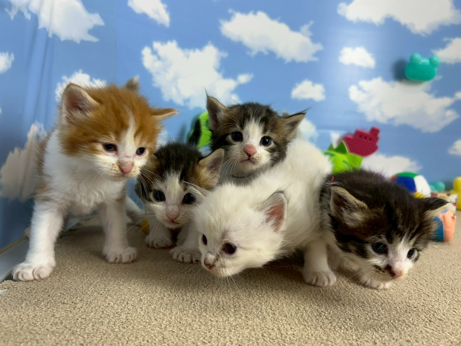 赤ちゃん写真2-3