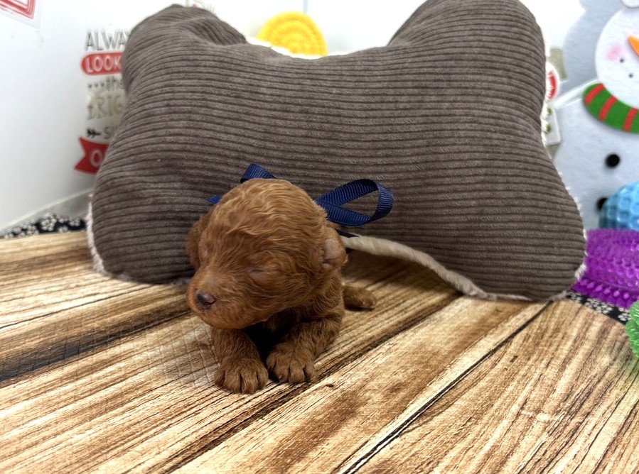 赤ちゃん写真1-1