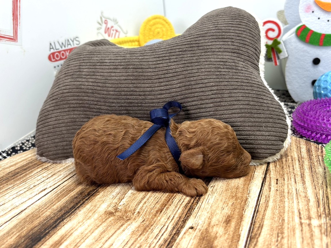 赤ちゃん写真1-2