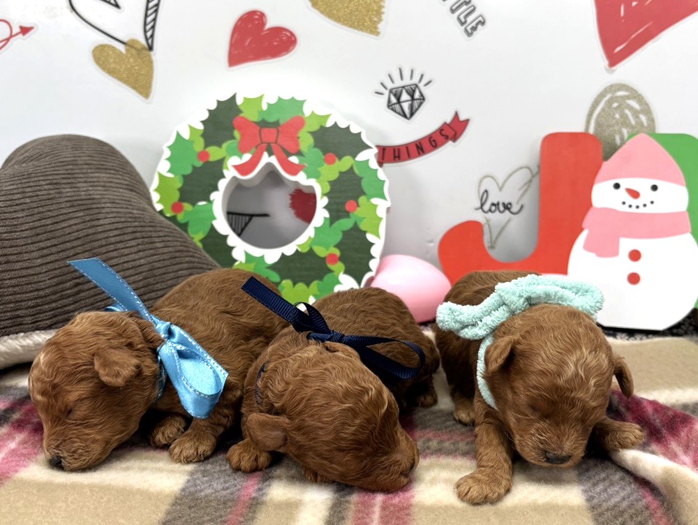 赤ちゃん写真1-3