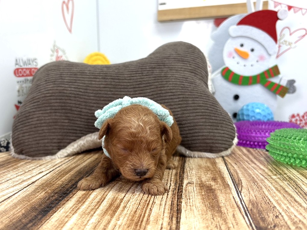 赤ちゃん写真1-1