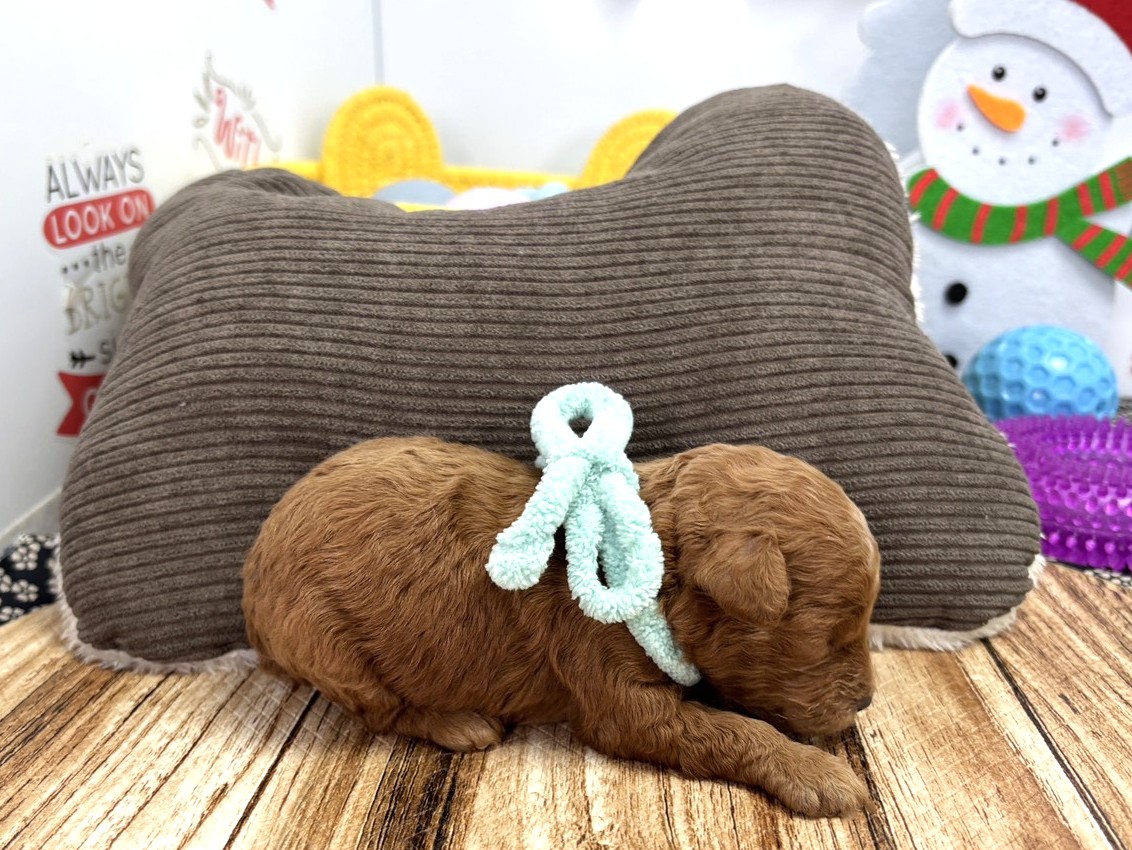 赤ちゃん写真1-2