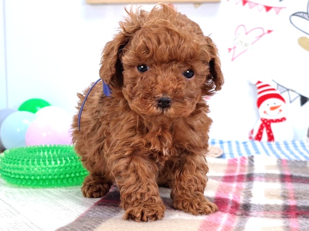 赤ちゃん写真2-1