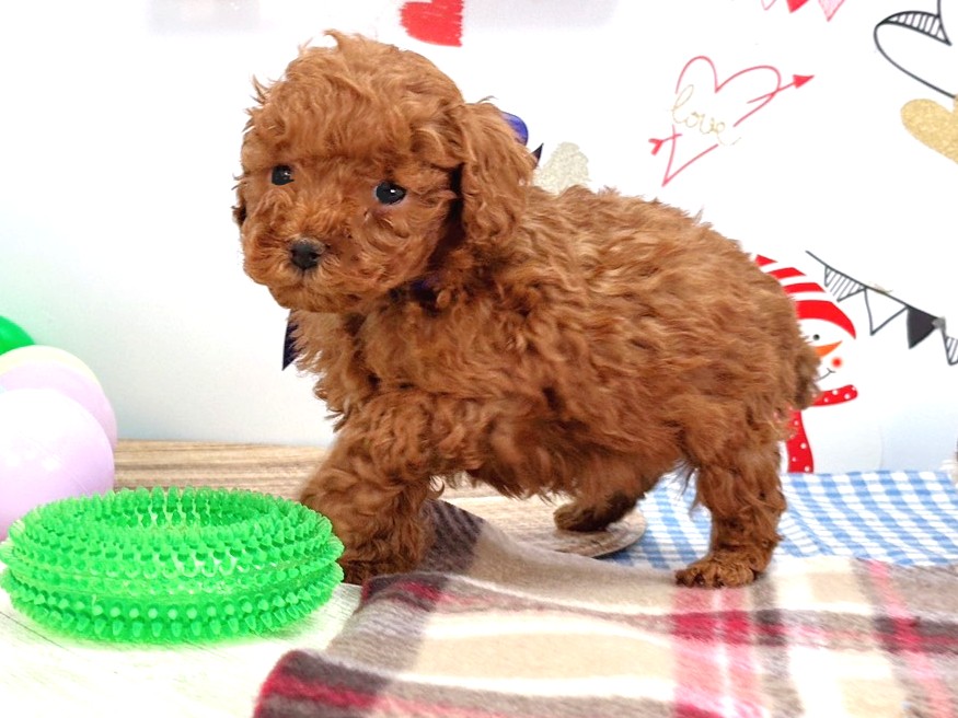 赤ちゃん写真2-2