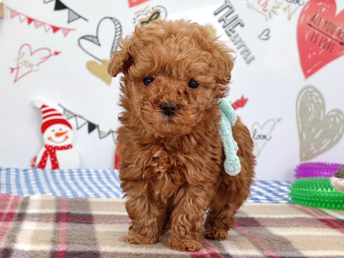 赤ちゃん写真2-1