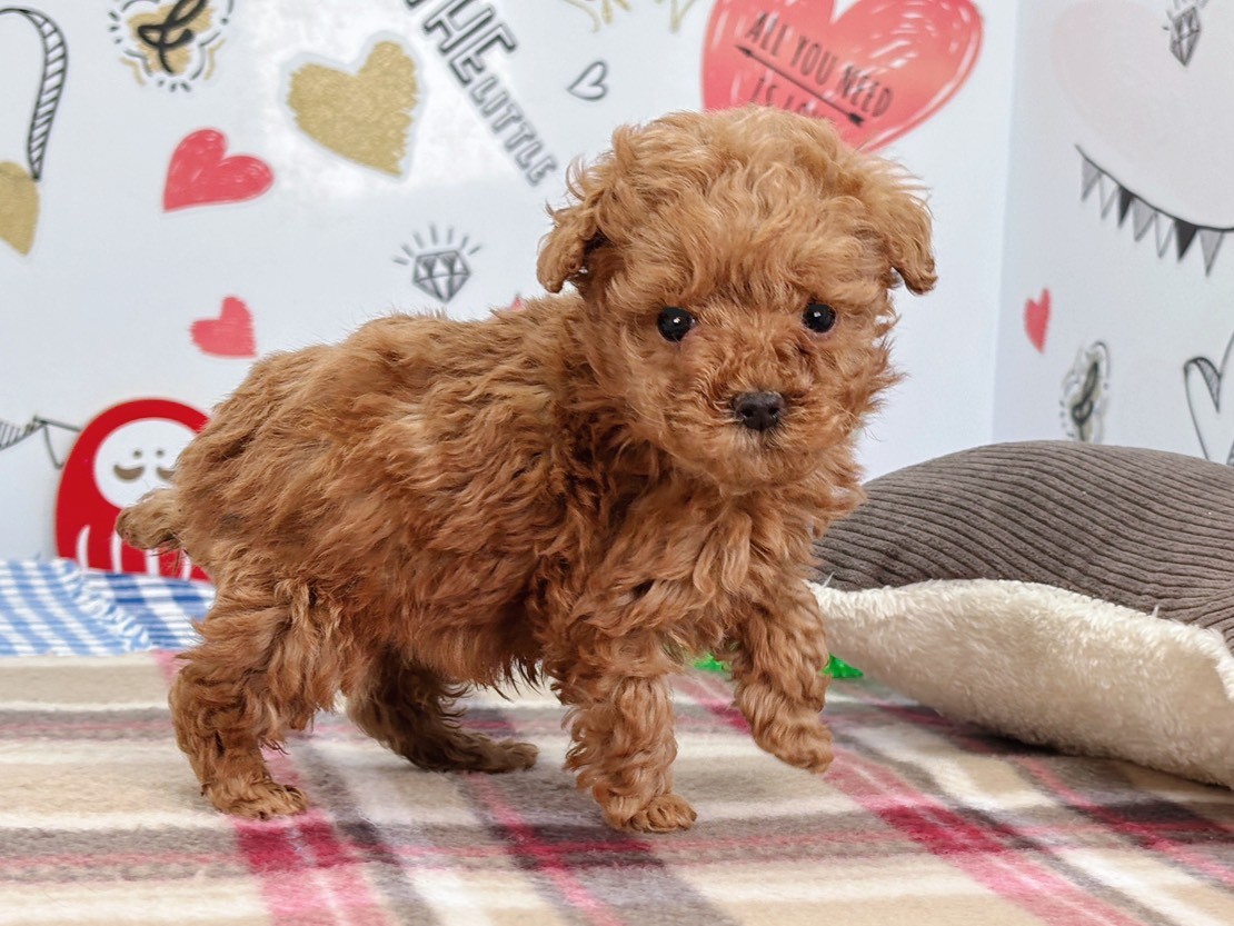 赤ちゃん写真2-2