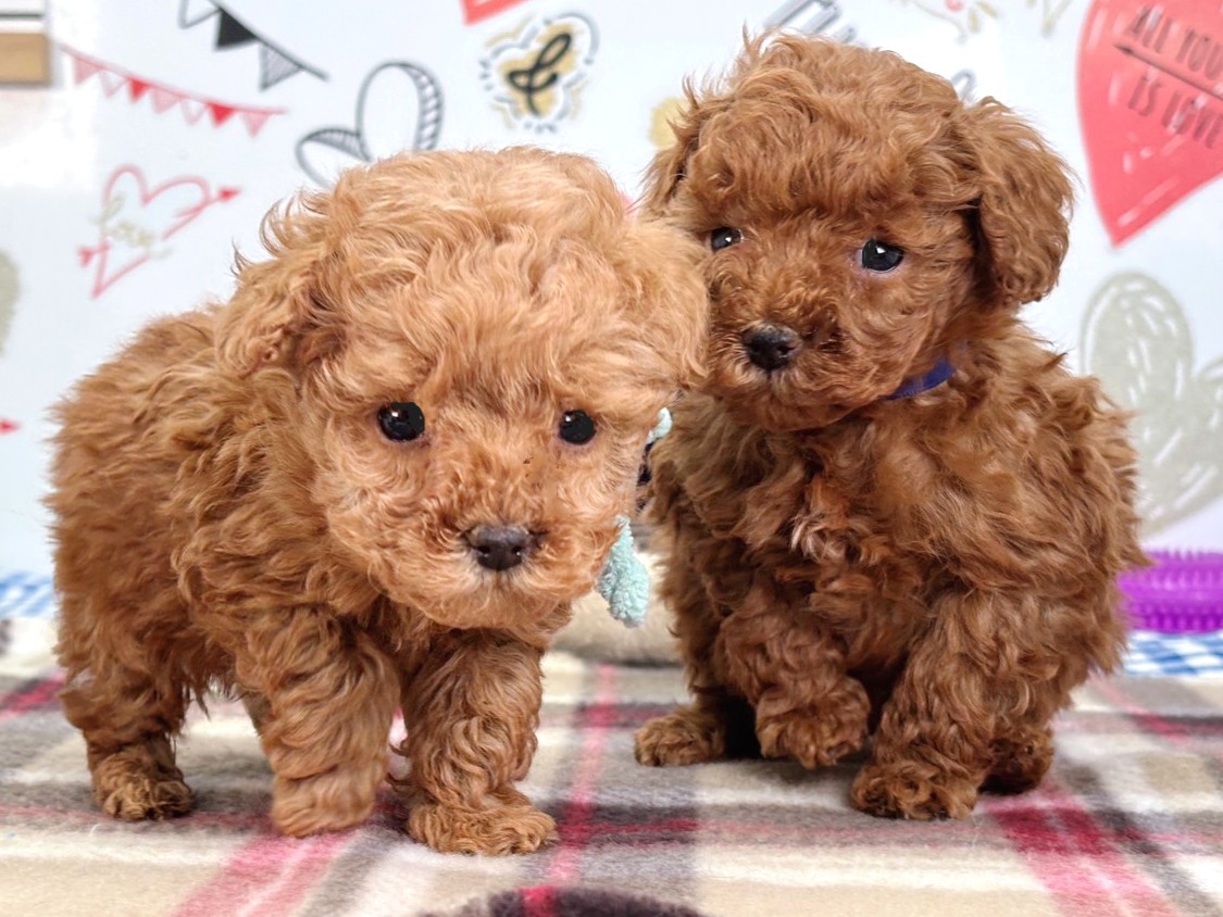 赤ちゃん写真2-3