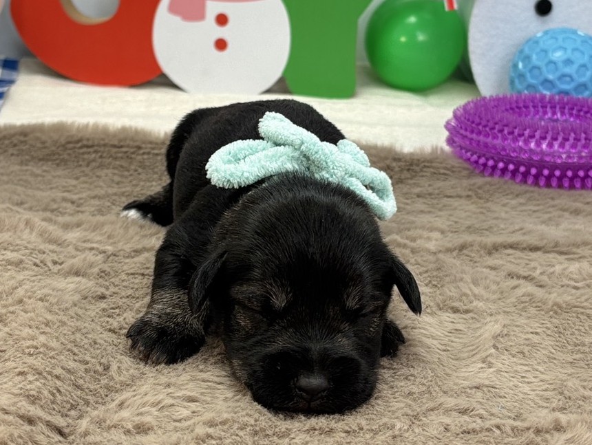 赤ちゃん写真1-1