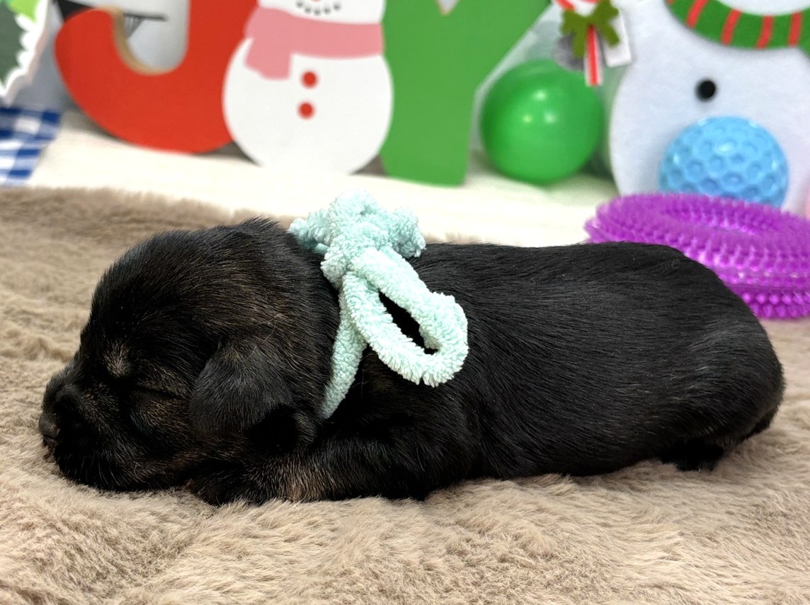 赤ちゃん写真1-2