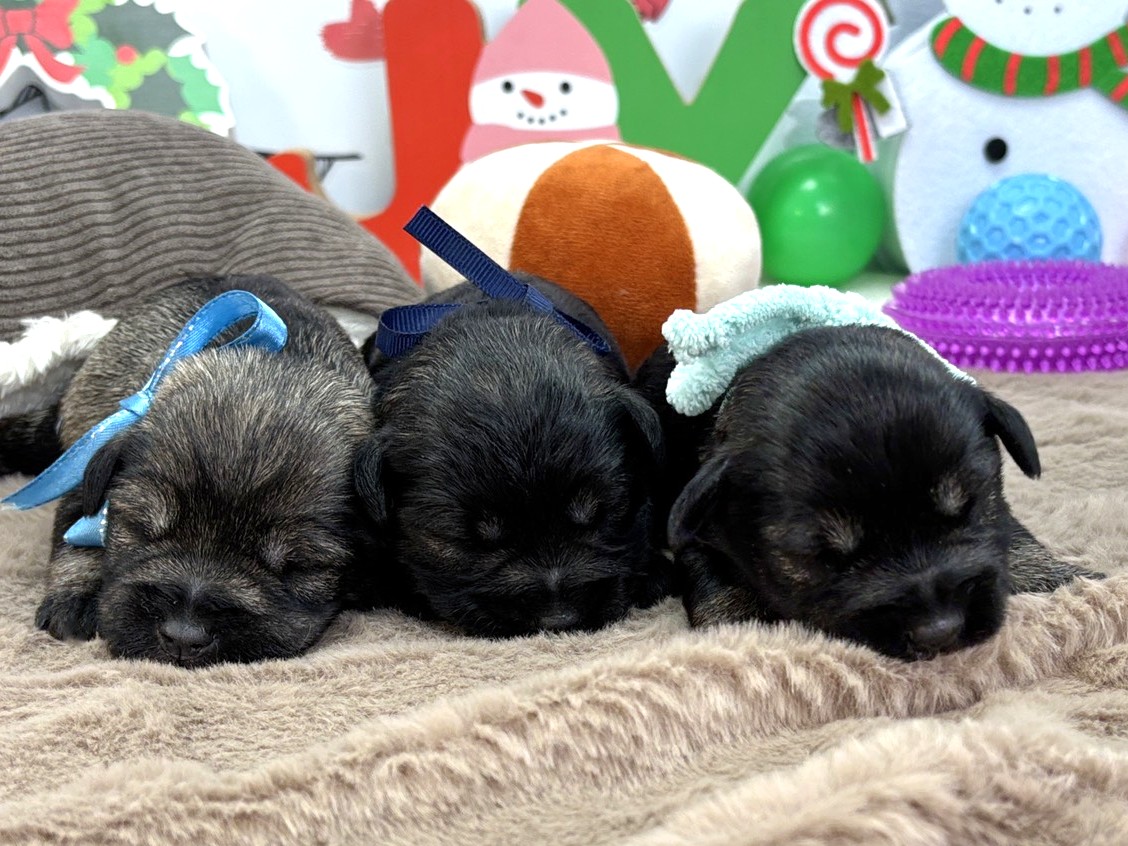 赤ちゃん写真1-3