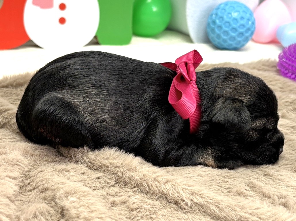 赤ちゃん写真1-2
