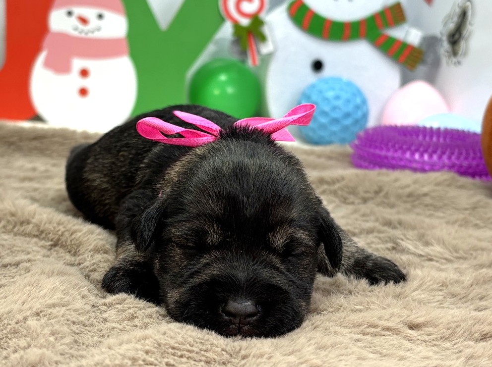 赤ちゃん写真1-1