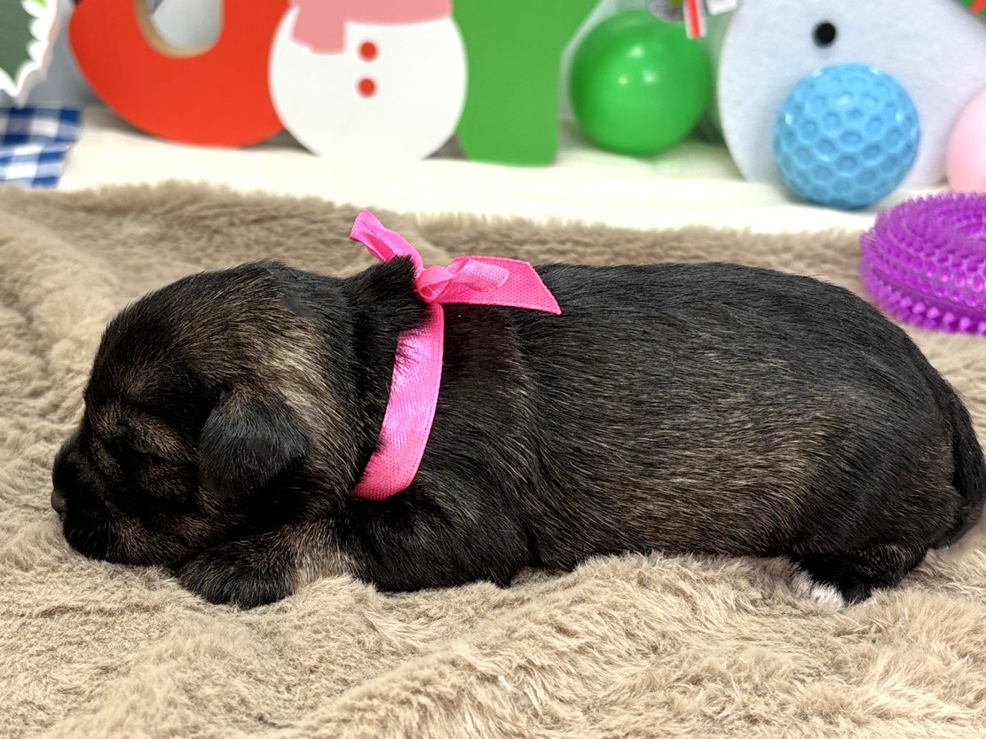 赤ちゃん写真1-2