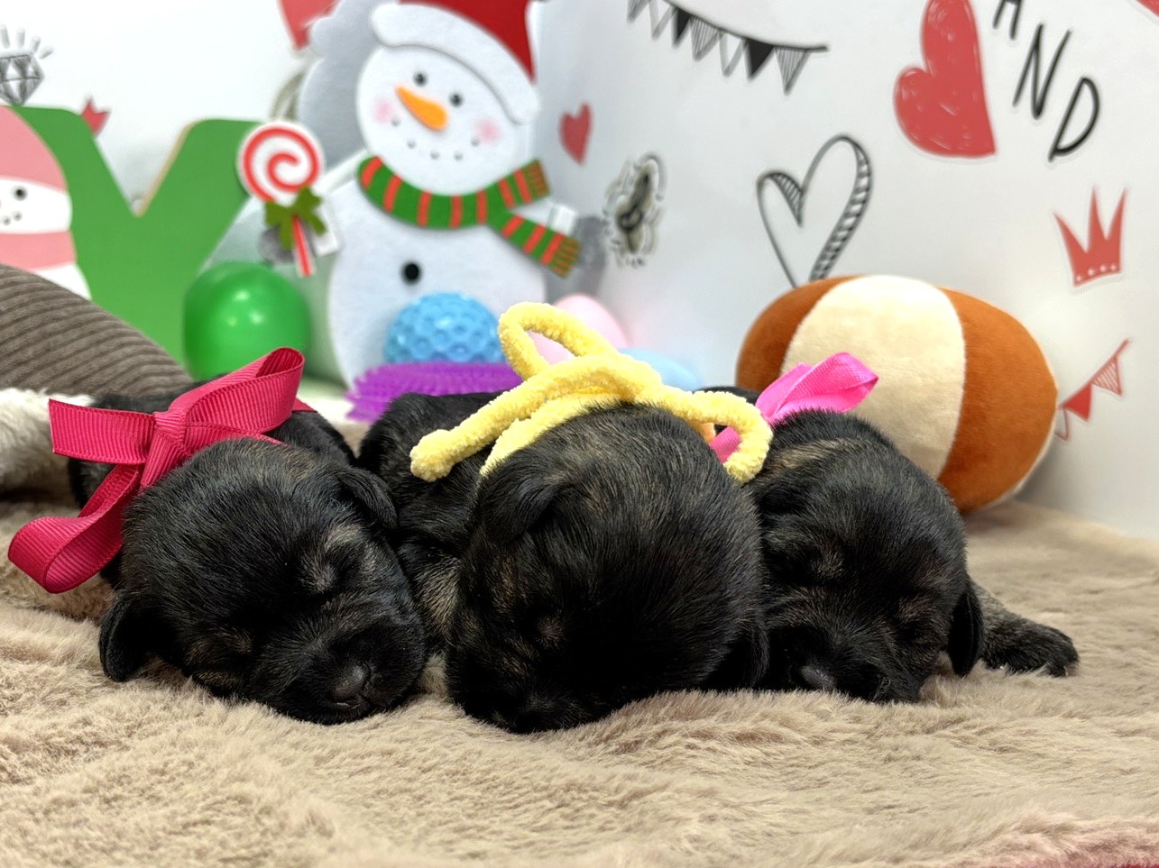 赤ちゃん写真1-3