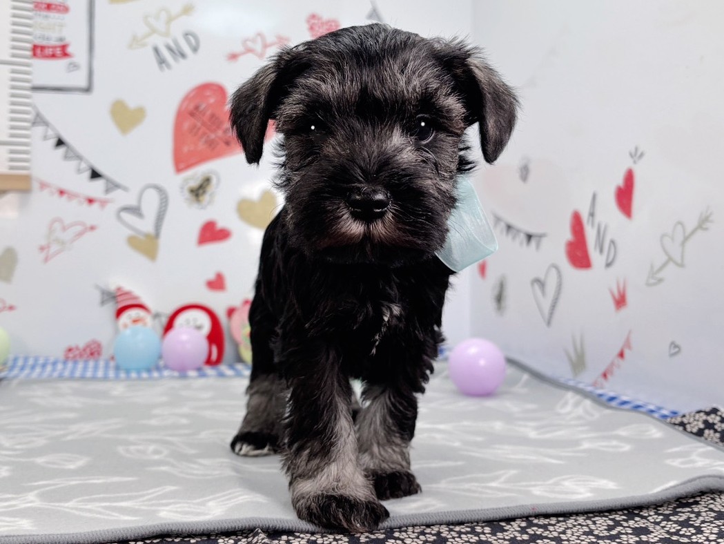 赤ちゃん写真2-1