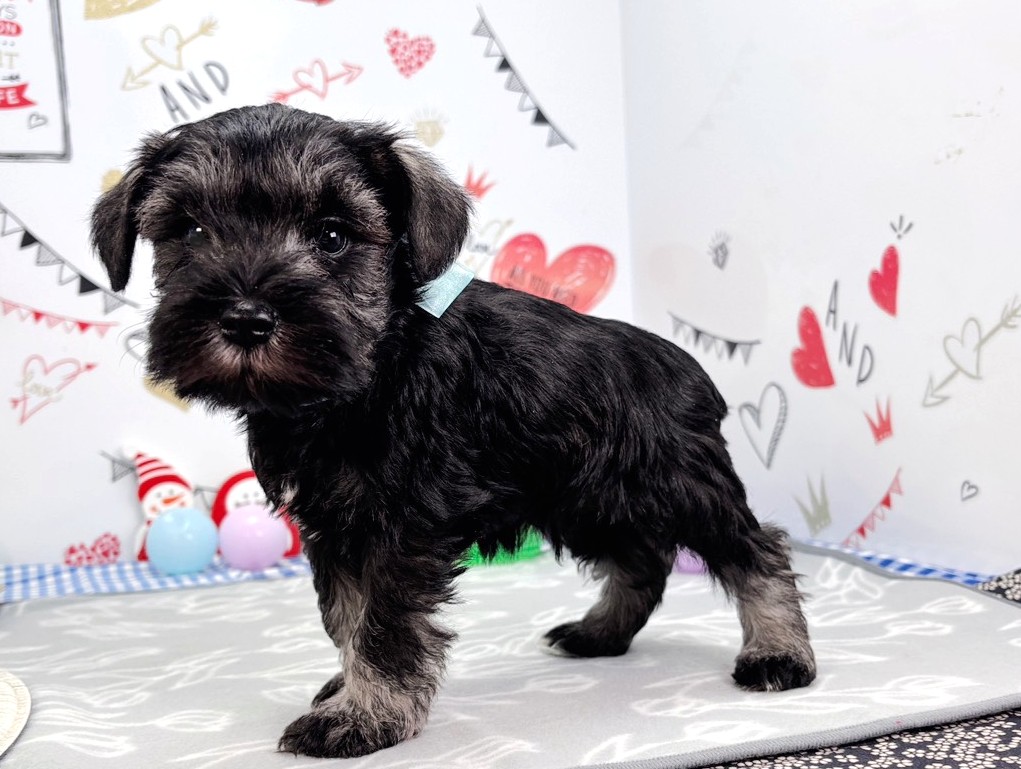 赤ちゃん写真2-2