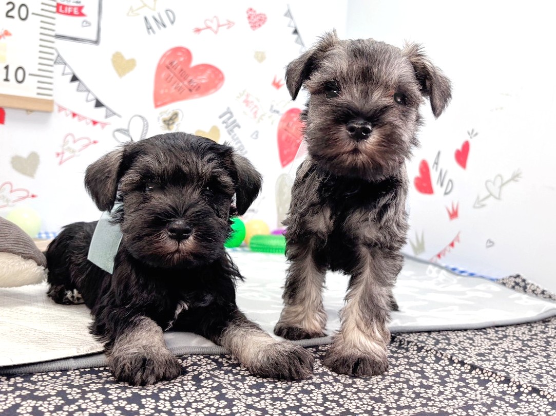 赤ちゃん写真2-3