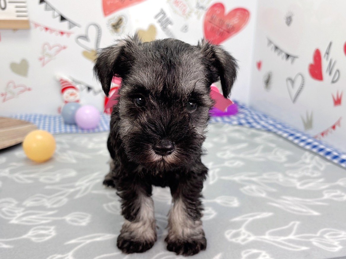 赤ちゃん写真2-1