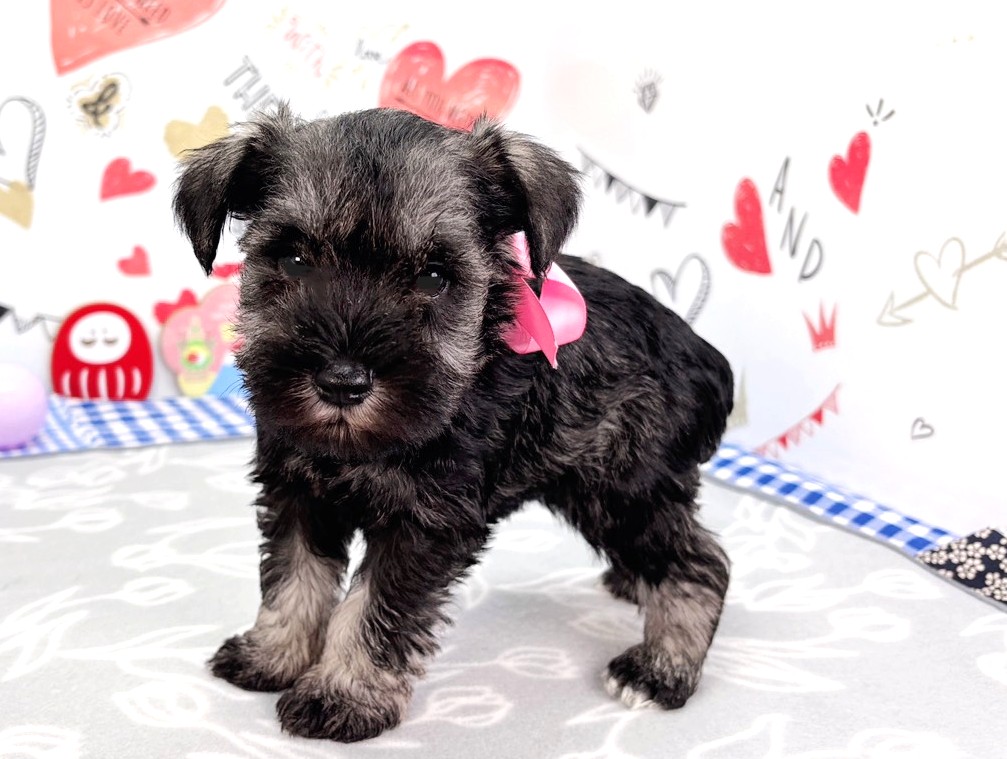 赤ちゃん写真2-2